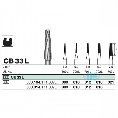 burs dental14
