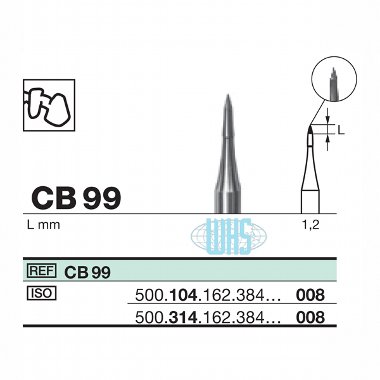 burs dental16