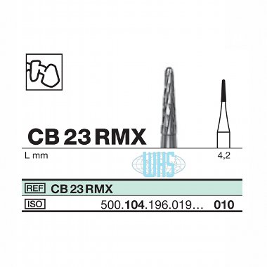 burs dental18