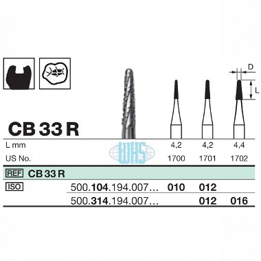 burs dental20