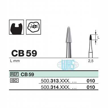 burs dental21