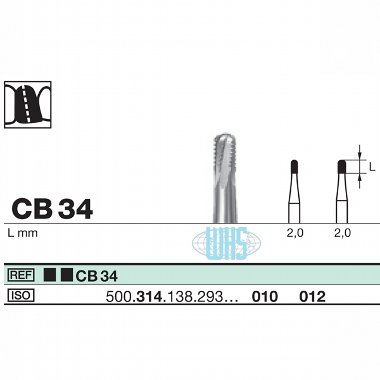 burs dental36