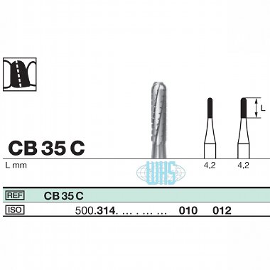 burs dental37
