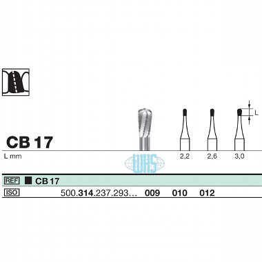 burs dental38
