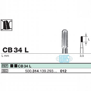 burs dental39