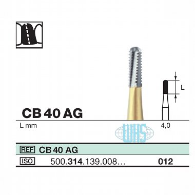 burs dental40