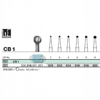burs dental