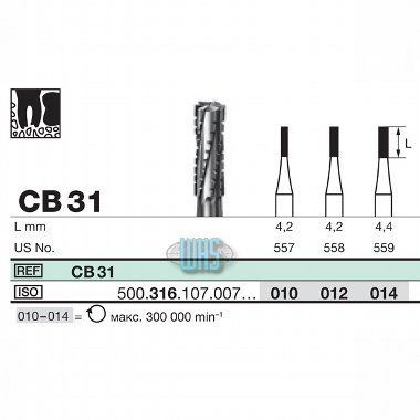 burs dental