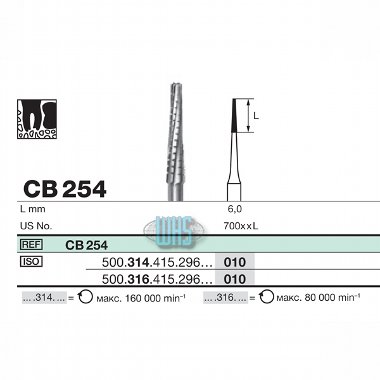 burs dental